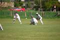 DSC_00770085.JPG